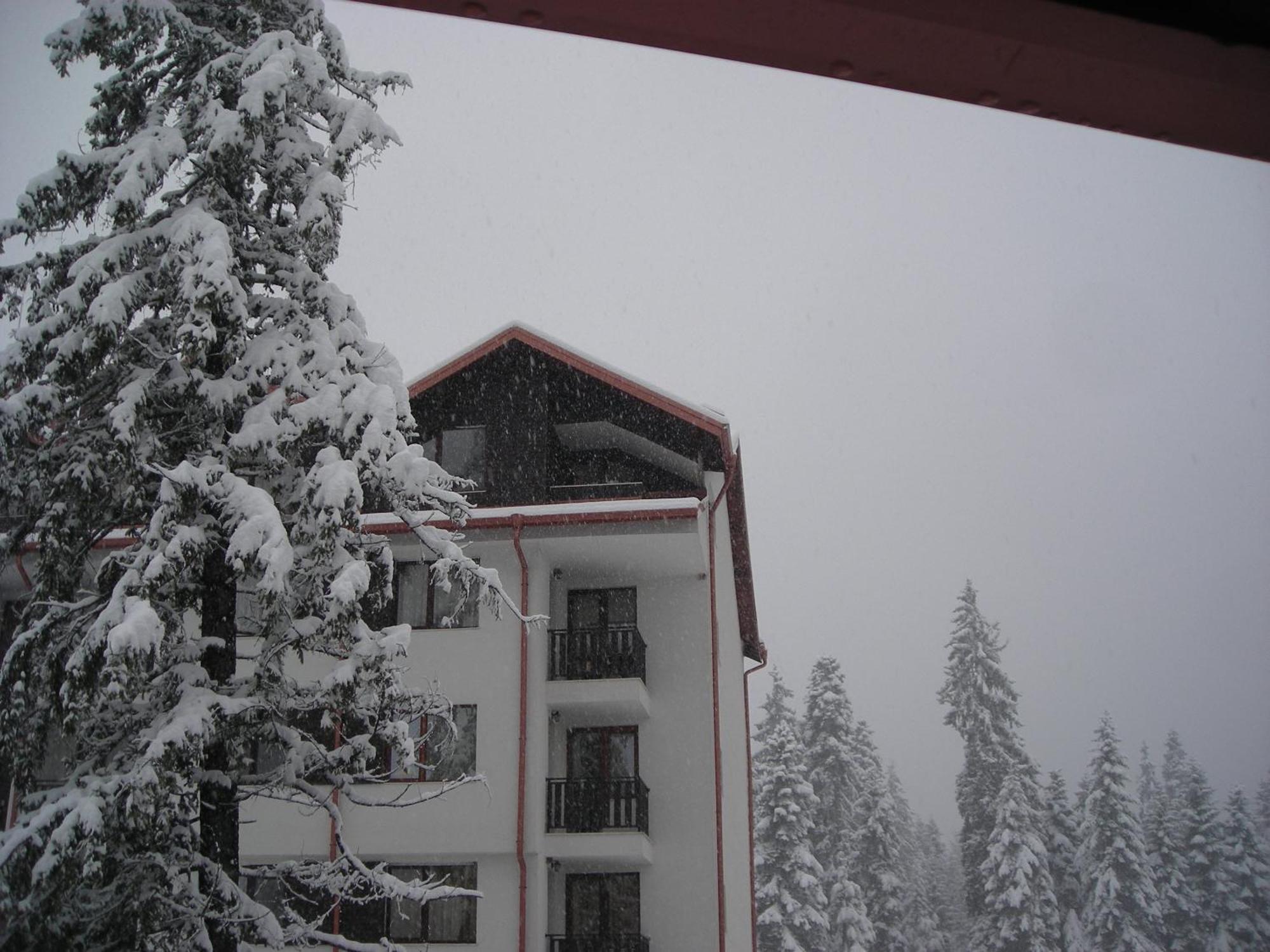 Borovets Gardens Chalet Flat Exterior foto